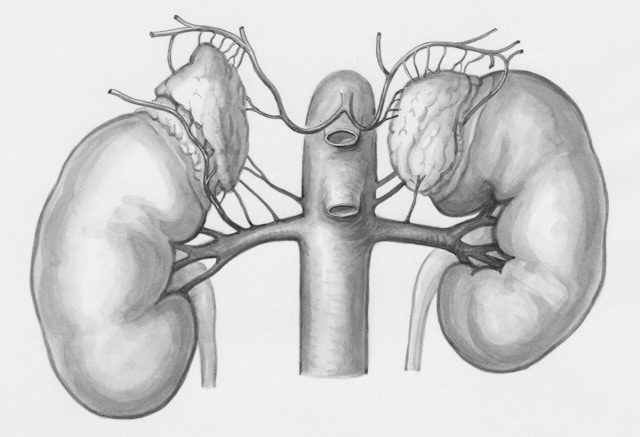Can Kidney Stones Cause Constipation? Understanding the Connection