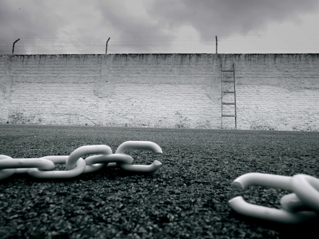 Debt Payoff and Financial Freedom