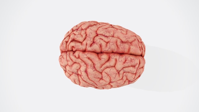 Daily Brain-Boosting Foods That May Help You Stay Sharp
